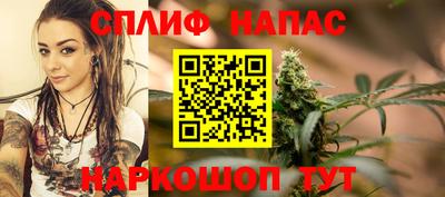 молекула духа Партизанск