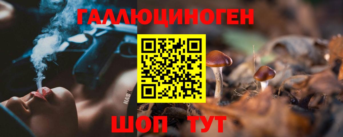 Советская Гавань  Галлюциногенные грибы прущие грибы  Галлюциногенные грибы Psilocybine cubensis  Вход с VPN 